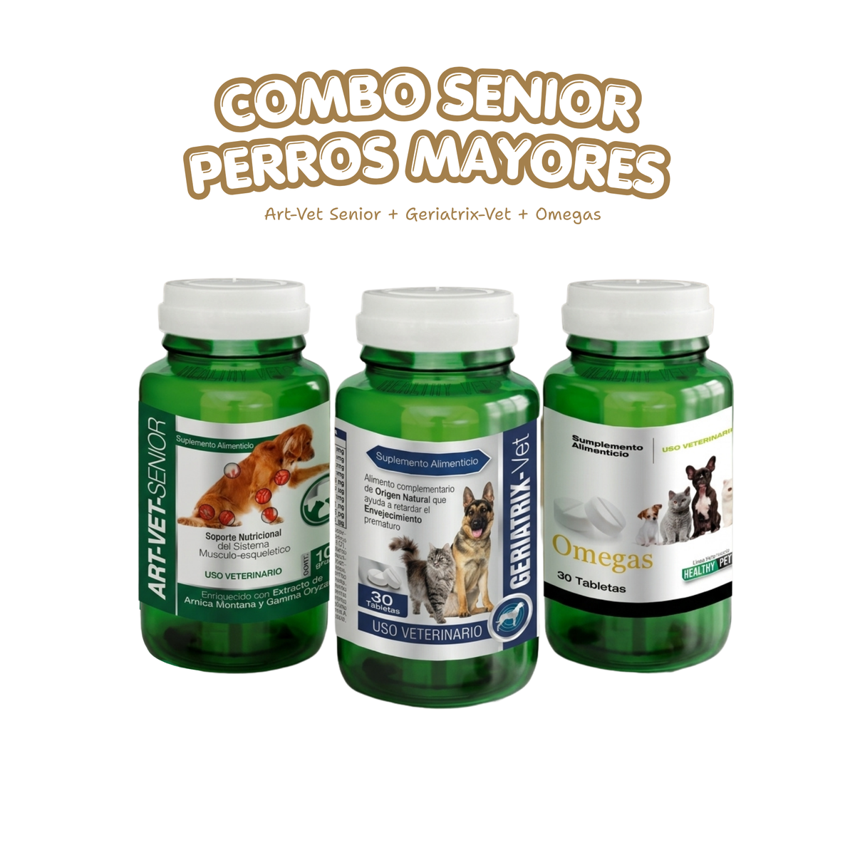 Kit Senior para Perros · Bienestar del perro mayor